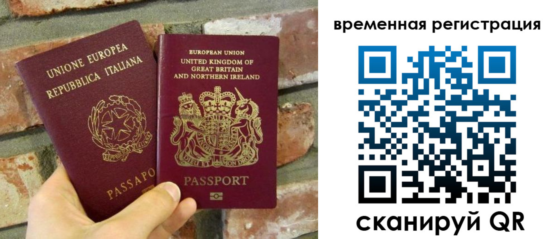 прописка для школы в Новосибирской области